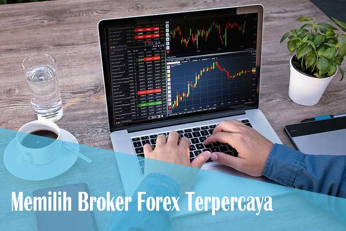 Strategi Memilih Broker Trading Forex Terpercaya