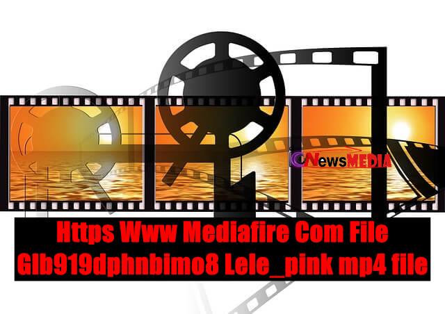 Link Https Www Mediafire Com File Glb919dphnbimo8 Lele_pink mp4 file