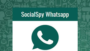 Unduh Social Spy Whatsapp Apk Terbaru 2022