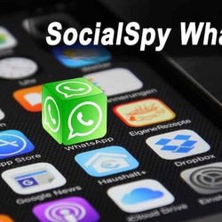Lagi Viral Aplikasi Socialspy WhatsApp Untuk Menyadap