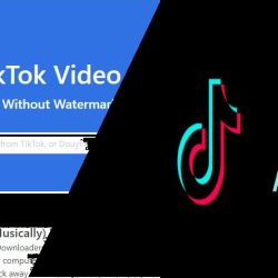 Mengenal Snaptik dan Exolty.com TikTok
